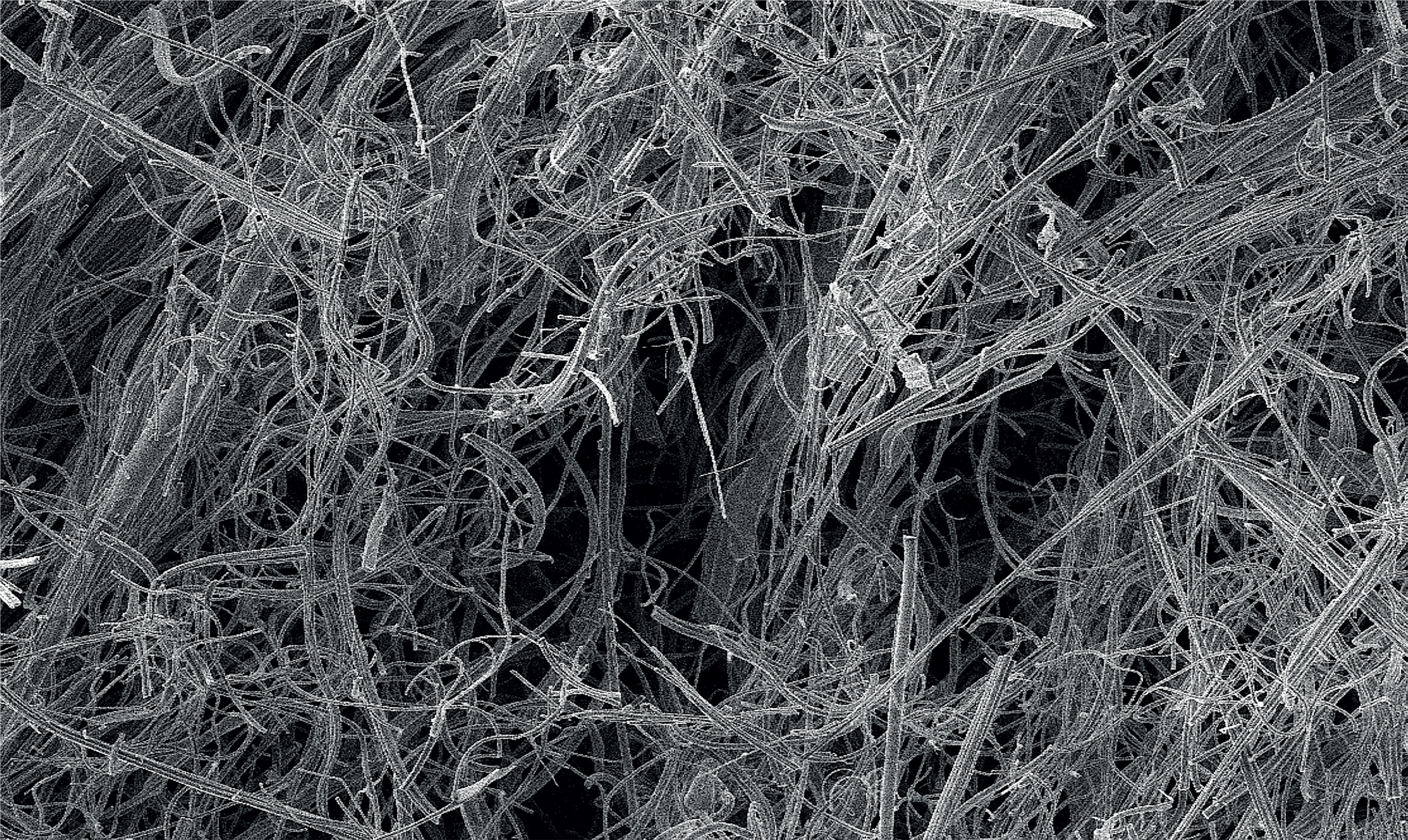 Silica Fibrous Material for Sorption, Separation, Catalytic and Battery Applications